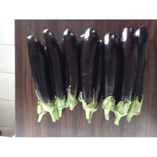 Şehzade f1 az 61 hibrit uzun siyah patlıcan tohumu 1000 adet